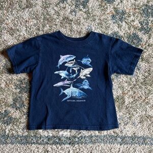 National Aquarium Toddler Souvenir Shark Shirt